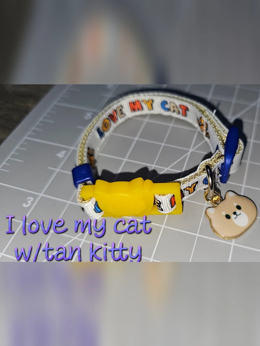 Kitty Themed Cat Collars